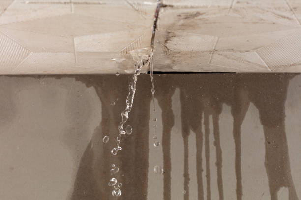 Professional Water Damage Repair technician working in Neapolis, OH